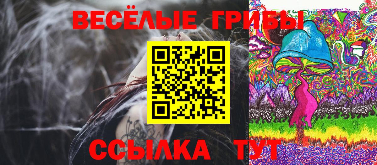 Псилоцибиновые грибы Magic Shrooms  Вход с VPN  Псилоцибиновые грибы Psilocybe  Энгельс 